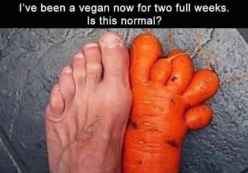 leslie folkersen vegan.jpg